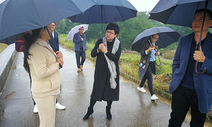 走訪案例：中厚明德專家團(tuán)隊(duì)調(diào)研安徽省郎溪經(jīng)濟(jì)開發(fā)區(qū)項(xiàng)目